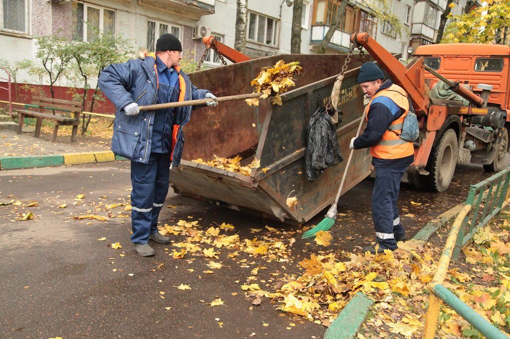 Вывоз опавшей листвы и растительного мусора в Владимире от ПроМусор – цена от 4669 руб., быстрая уборка и утилизация
